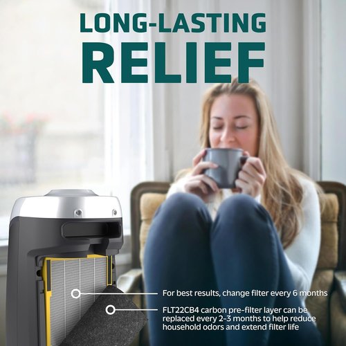 GermGuardian HEPA Pure Air Purifier Filter B - Removes 99.97% of Pollutants | 2-Pack, Black/Yellow