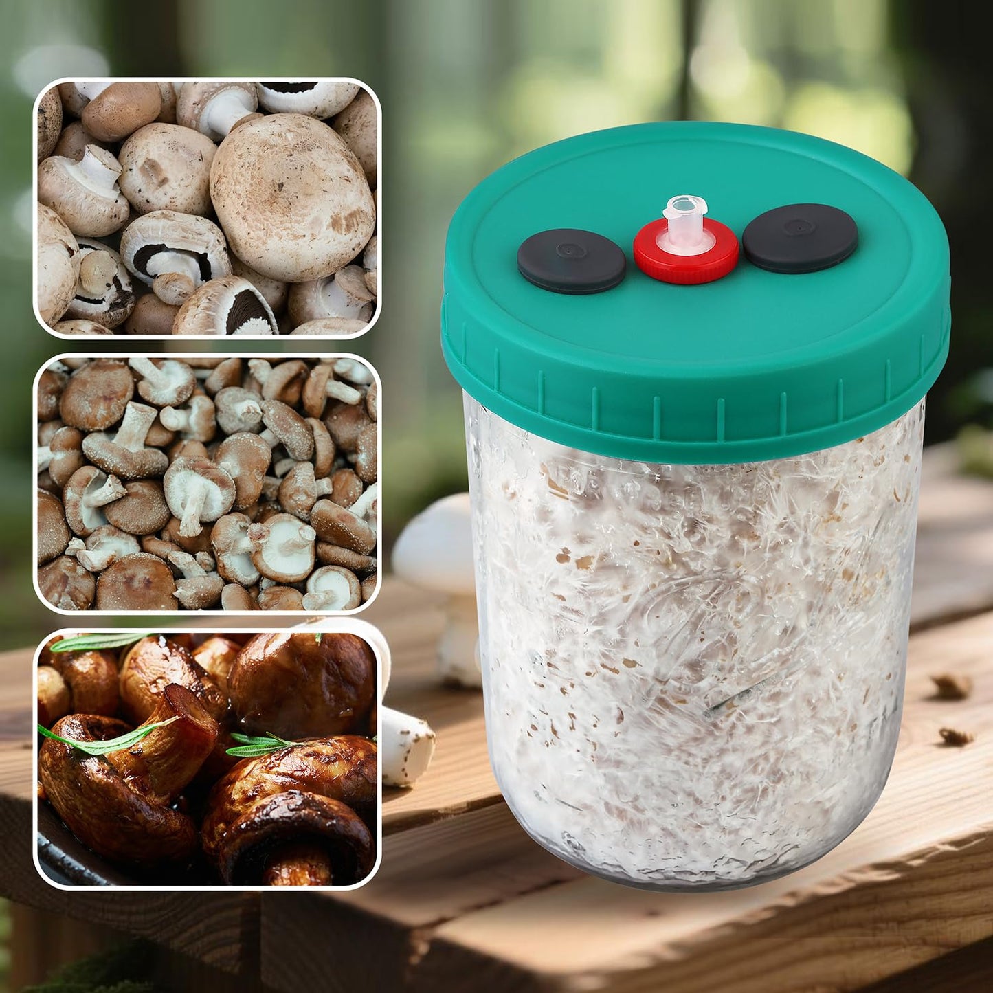 MOFOGDR Mushroom Liquid Culture Jar with Self Healing Sealing Injection Port & Syringe Filter Port Mycology Supplies Mushroom Inoculation, Cultivation, Growing Kit 500 ML, 6PCS|PACK
