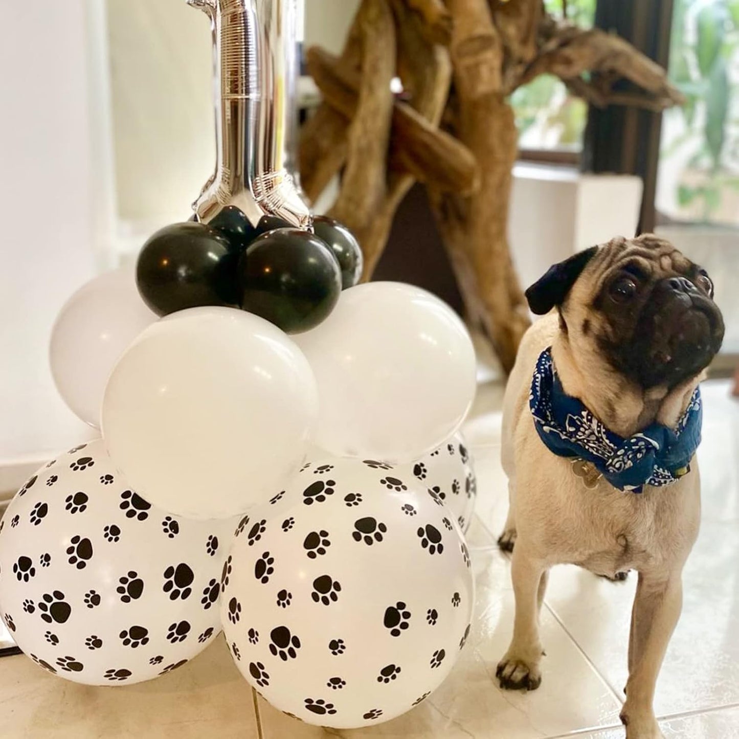 PartyWoo Paw Balloons - 50 Pcs 12 Inch Matte White Latex Balloons for Dog-Themed Birthday Parties
