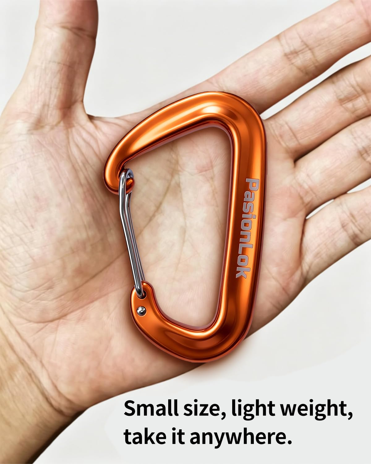 PasionLok Carabiner Clips Heavy Duty 12KN, 4 Pack Aluminum Carabiner Keychain, Small D Ring Hook for Hammock Camping Essentials, Backpack Key Ring Clip, Dog Leash, Multi Color