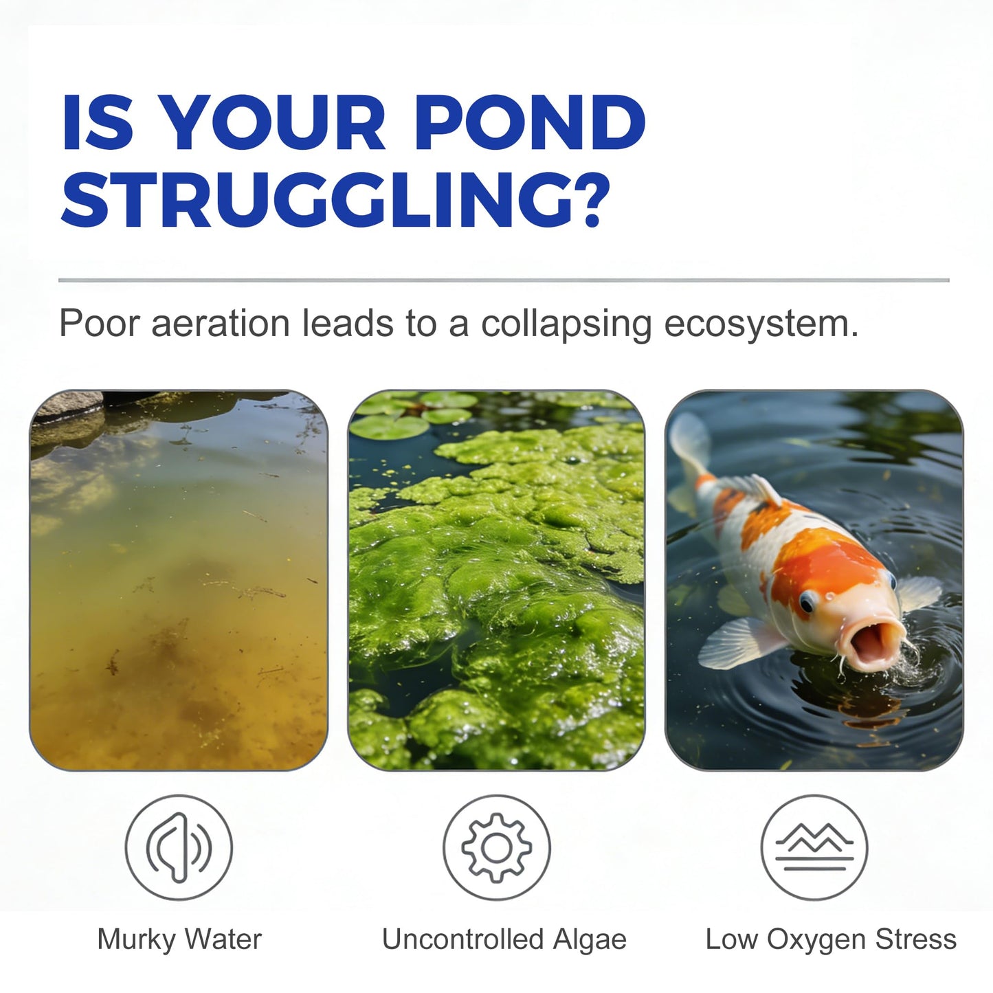 PEAKROCK 3/4 HP Rocking Piston Pond Aeration System for 3 Acre Lakes - 5.76 CFM, 100' Weighted Airline, 2 Diffusers & 2 Braided Connectors Deep Water Oxygenation