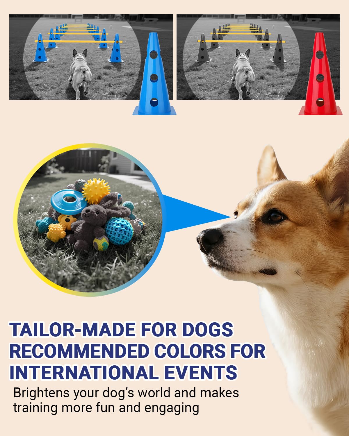 Lupar Dog Agility Course Backyard Set, Dog Agility Hurdle Cone Set with Height Adjustable Crossbar for Rehabilitation & Beginners, Dog Agility Equipment for Dog Obstacle Course - 12 Inch