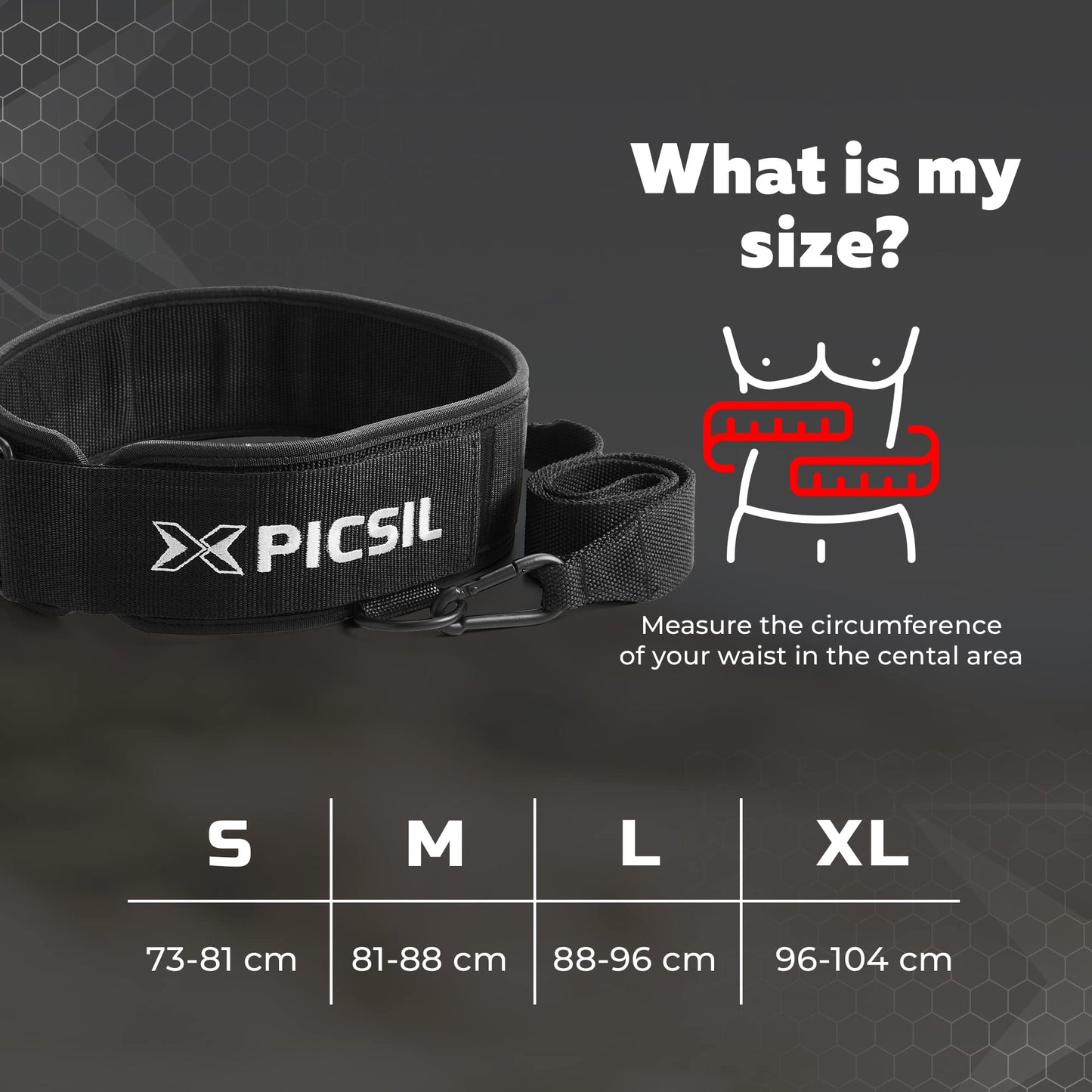 PICSIL Dip Belt, Weighted Belt, Weightlifting Belt for Training, Fitness, Gym (Large)