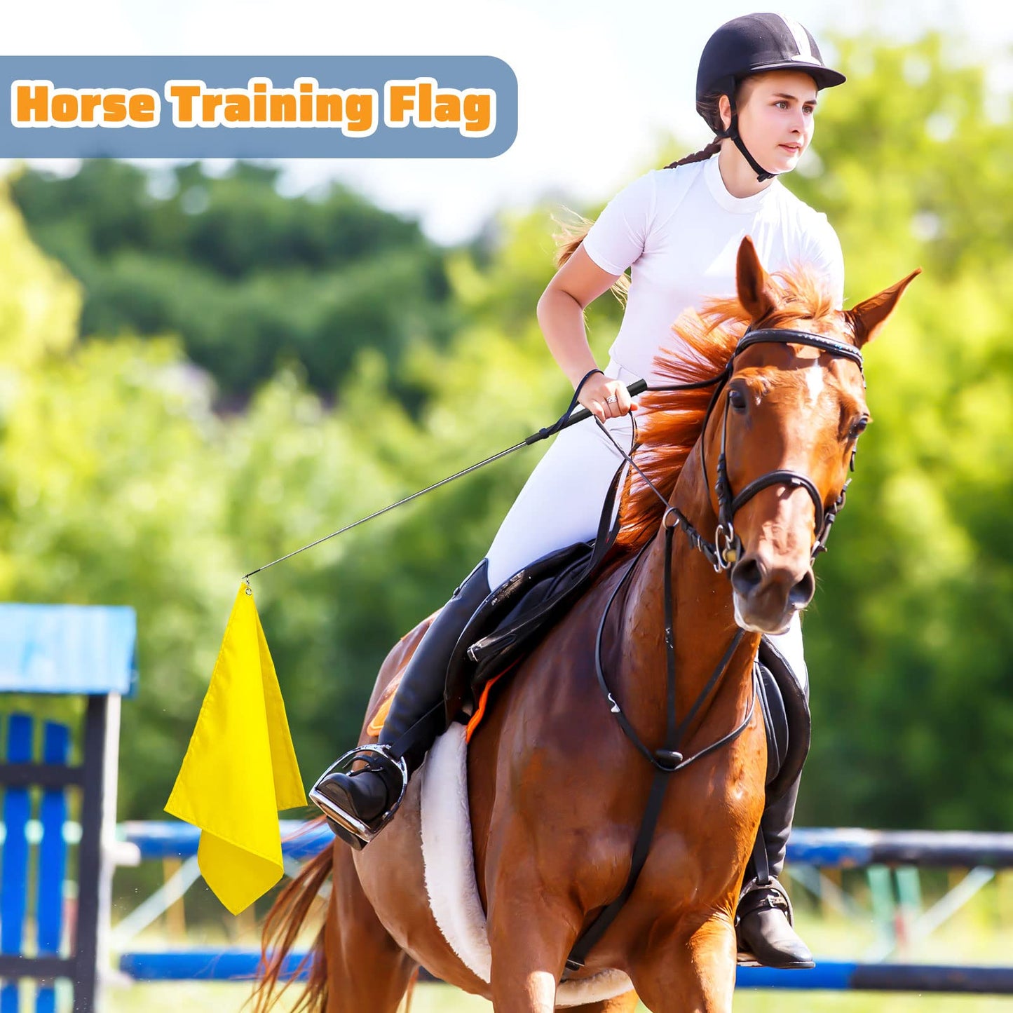 Equestrian Training Flag 4 Pieces Equestrian Training Equipment Nylon Flag with Flagpole(Yellow, Pink, Purple, Dark Blue)