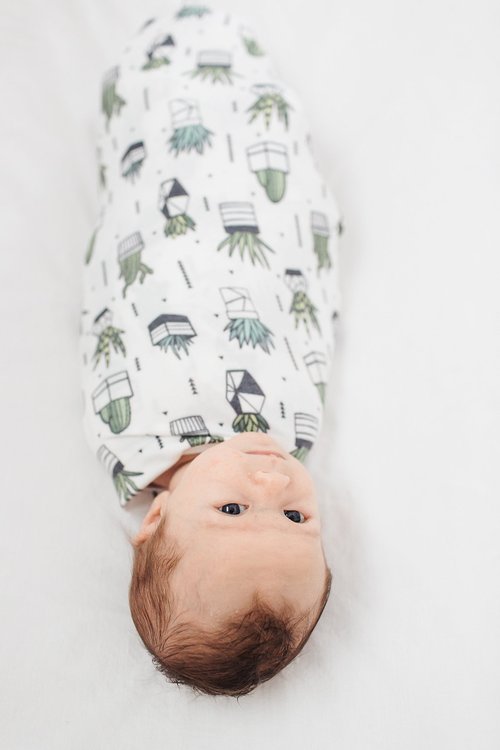 Copper Pearl Large Premium Knit Baby Swaddle Receiving Blanket Shiloh