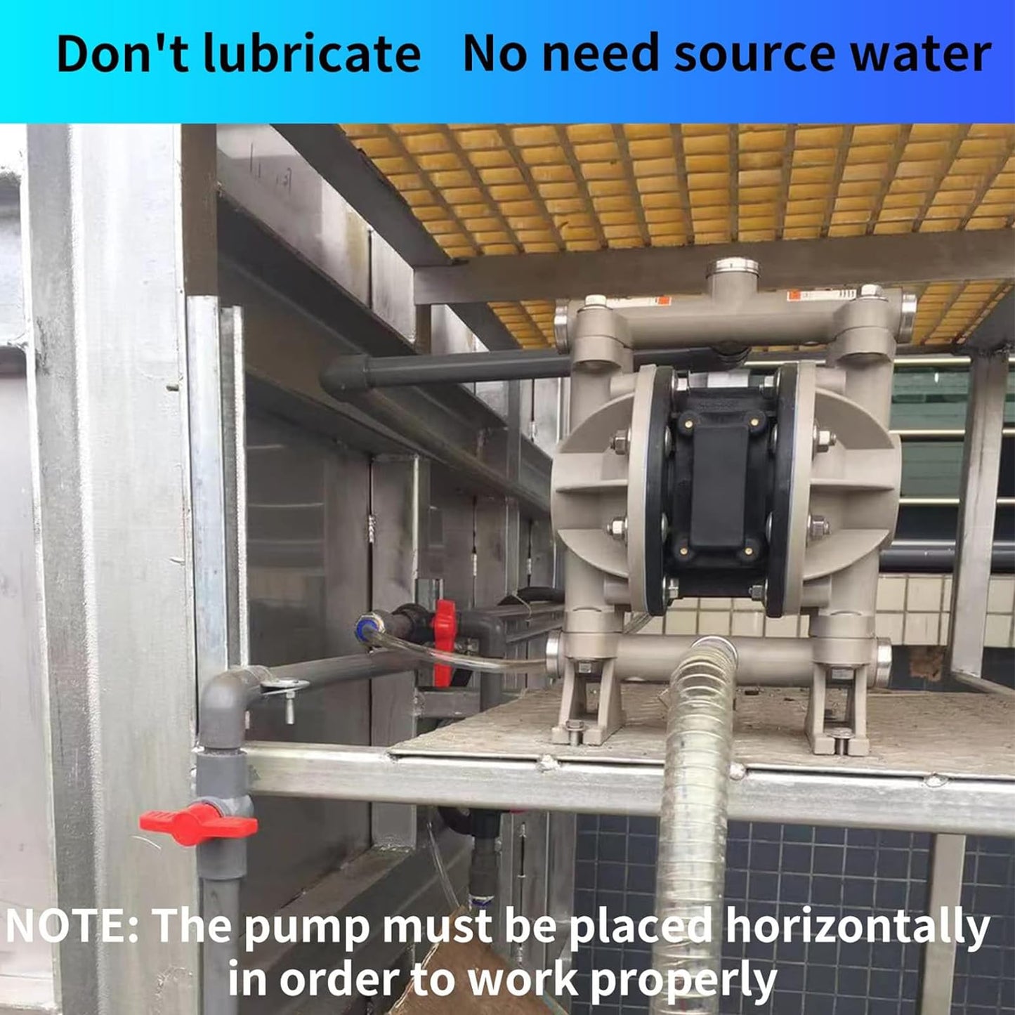 Air Operated Double Diaphragm Pump 1/2 inch Inlet/Outlet Pneumatic Waste Oil Transfer Pump for Chemical DN15 15GPM Dual Diaphram Teflon byPolypropylene115 PSI
