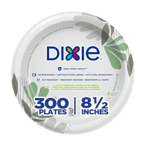 Dixie Disposable Paper Plates - Medium-Weight Pathways Design | 300 Count Bulk Case (6 Packs of 50)
