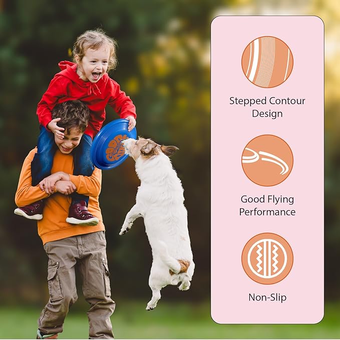 Wham-O Frisbee Fastback Flying Disc, 9.35 Inch Dog-Friendly Lightweight Sports Disc Toy for Outdoor Beach Backyard Games,Team Sports and Family Fun - 100g