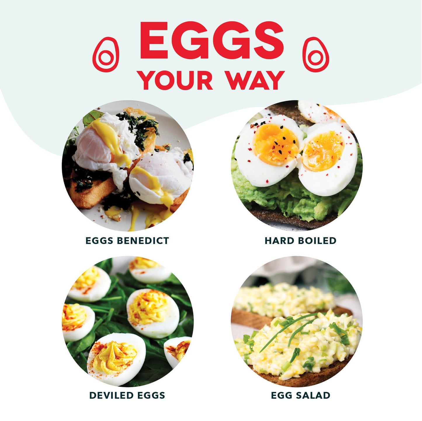 Dash Rapid Egg Cooker - Boiler, Poacher & Steamer - Includes Measuring & Recipe Guide - Dishwasher Safe - BPA Free - Holds 7 Eggs, Black