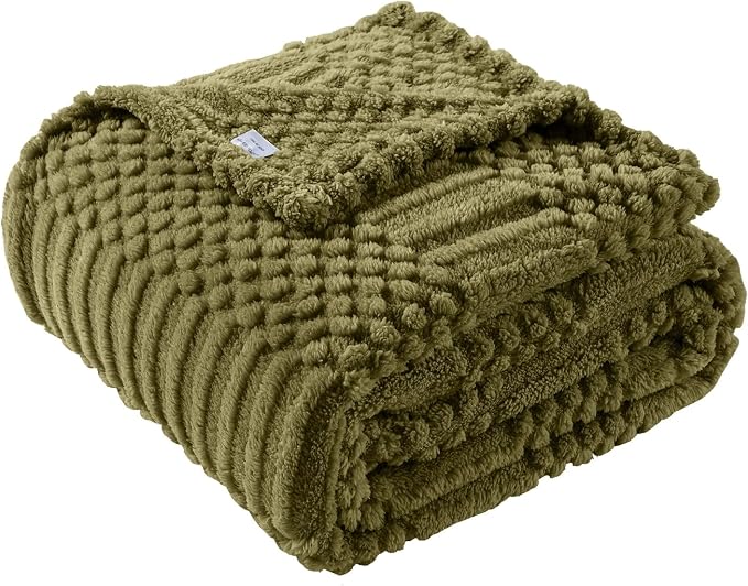 60x80 Inch Green Twin Blanket - Soft & Fluffy Fleece, Cute & Aesthetic, Perfect for Sofa, Couch, Chair, Bed, Living Room & Bedroom, All-Season Use, Plush & Cozy Decorative Blanket