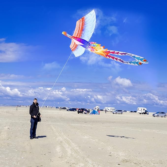 Mint’s Colorful Life Large Kite for Kids and Adults, Easy to Fly Single Line Beach Kites, Comes with 300ft String Handle