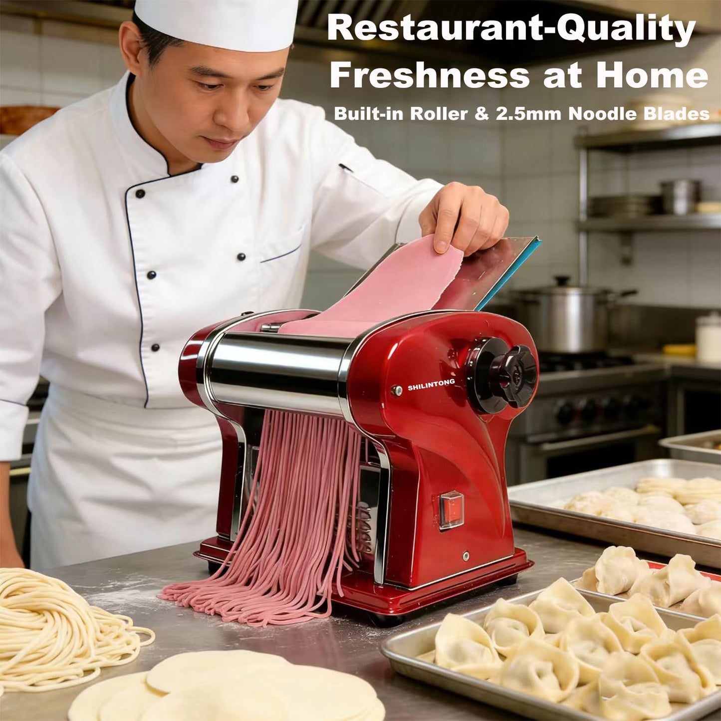 SHILINTONG Electric Pasta Noodle Maker Machine, Built-in 2.5 mm Blade, Dough Width 14 cm, 0.3-4 mm Adjustable Thickness, Output 5Kg/H for Home & Commercial Use