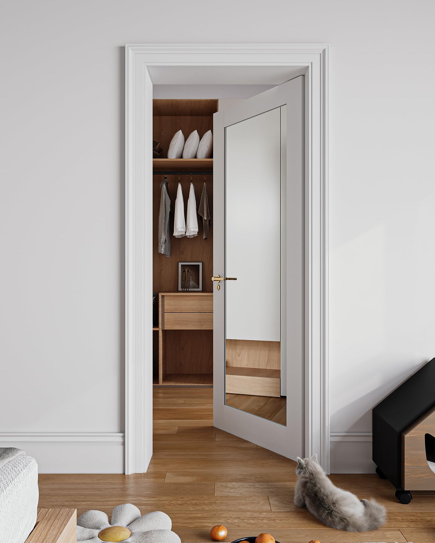 24" x 80" Mirror Slab Door,Paintable Solid Wood Pocket Barn Doors for Bedroom Closet Laundry Pantry Bathroom White Pre-Finished Surface Paintable, w/o Hardware