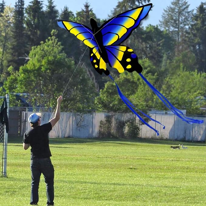 HENGDA KITE 2 Pack Butterfly Kite,for Kids and Adults,Easy to Fly,Excellent Fabric and Structure Design,The Pictures are Beautiful in high Definition,Suitable for Beginners(31x22)