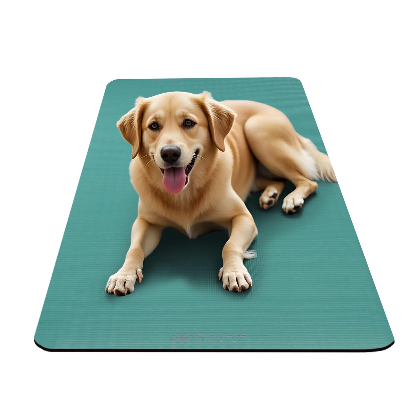 Gaiam Essentials Thick Yoga Mat Fitness & Exercise Mat With Easy-Cinch Carrier Strap, Teal, 72"L X 24"W X 2/5 Inch Thick
