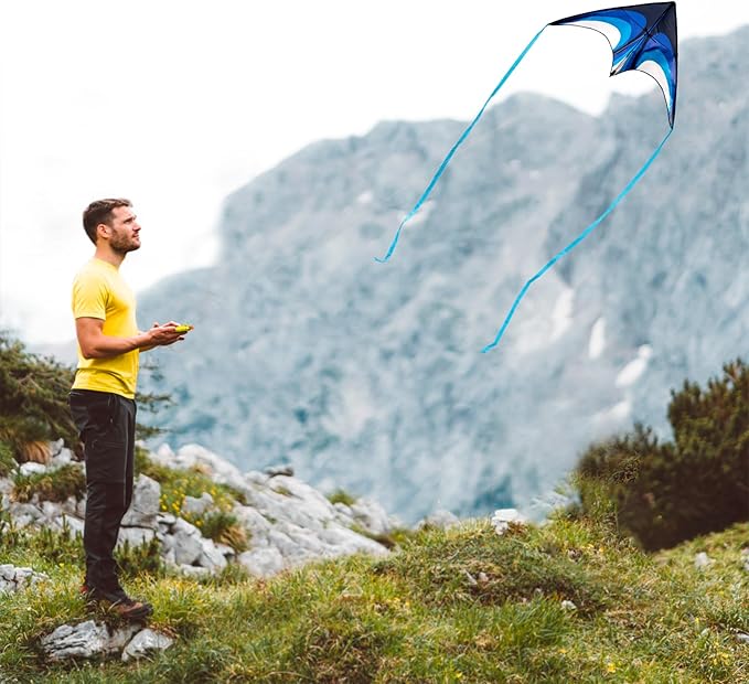 Blue Delta Kite Easy to Fly,Beach Trip Outdoor Games Single Line String with Tail,Easy Flying Colorful Life 3D Delta Huge Kite for Kid and Adult