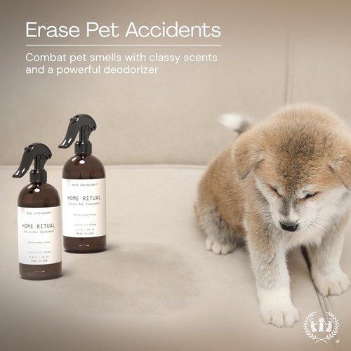 Muse Apothecary Odor Eliminator Spray - Active Furniture & Bathroom Deodorizer - 4oz Mediterranean Citrus