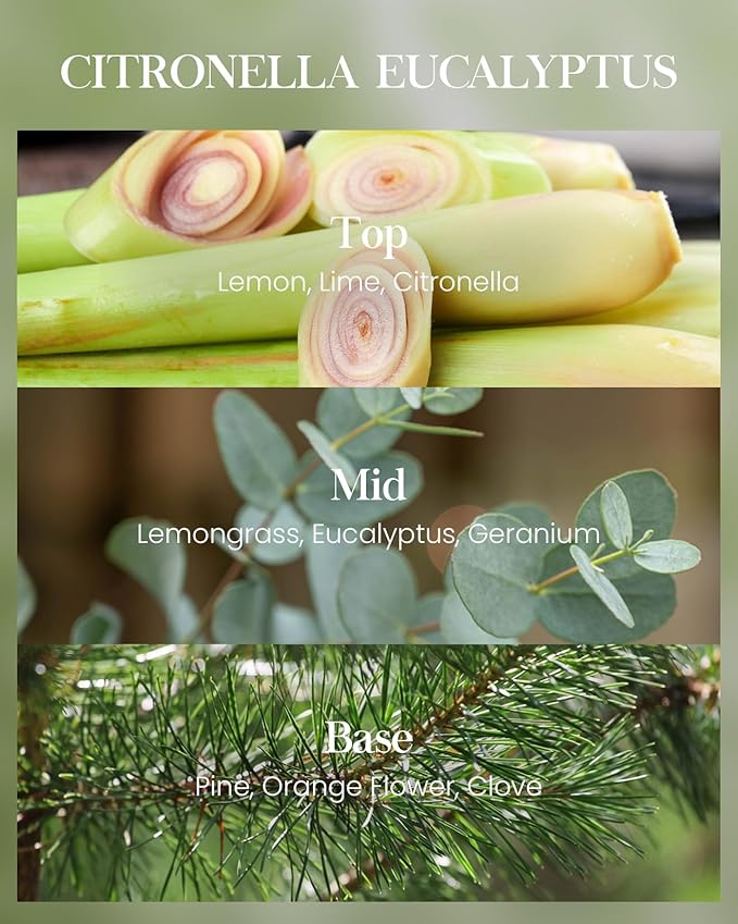 Citronella Candles Outdoor, Citronella Eucalyptus Scented Candle 19.4 oz,Eucalyptus Lemongrass Candle Outdoor,Lemongrass Summer Citronella Candles for Patio Camping, 110 Hours Burn Nature Soy Wax