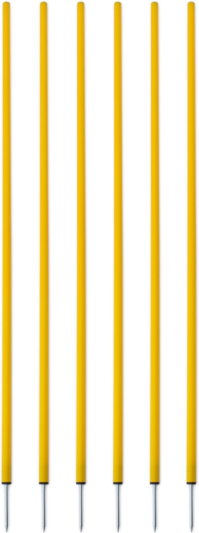 Champion Sports Coaching Sticks