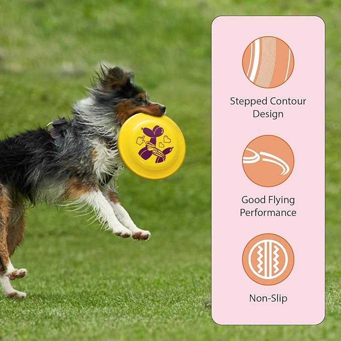 Wham-O Frisbee Fastback Flying Disc, 9.35 Inch Dog-Friendly Lightweight Sports Disc Toy for Outdoor Beach Backyard Games,Team Sports and Family Fun - 100g