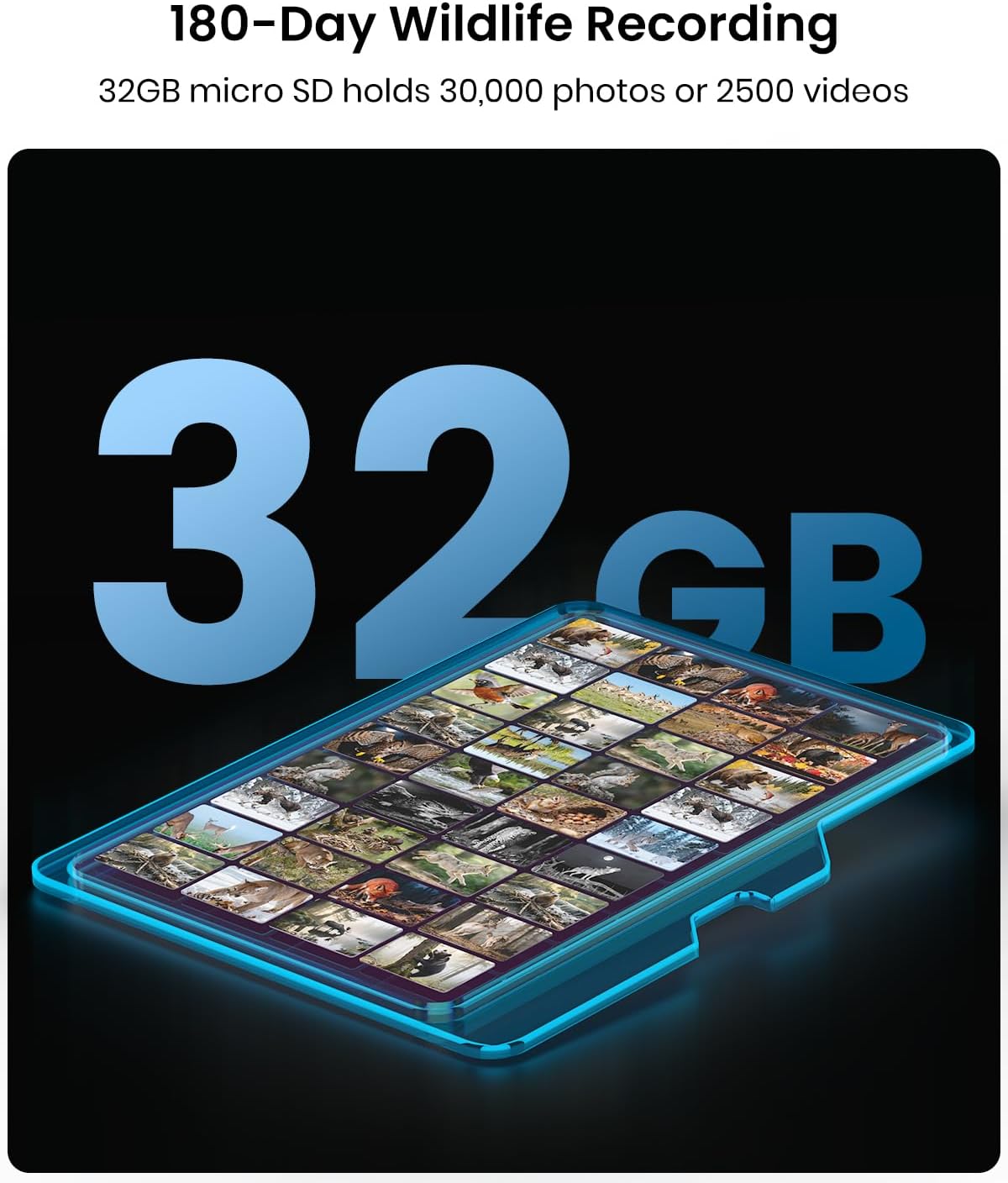 Misstech 32GB 10 U1 Micro SD Card,Compatible with Trail Cameras,Class and Speed Grade Perfect for Full HD (FHD) Videos