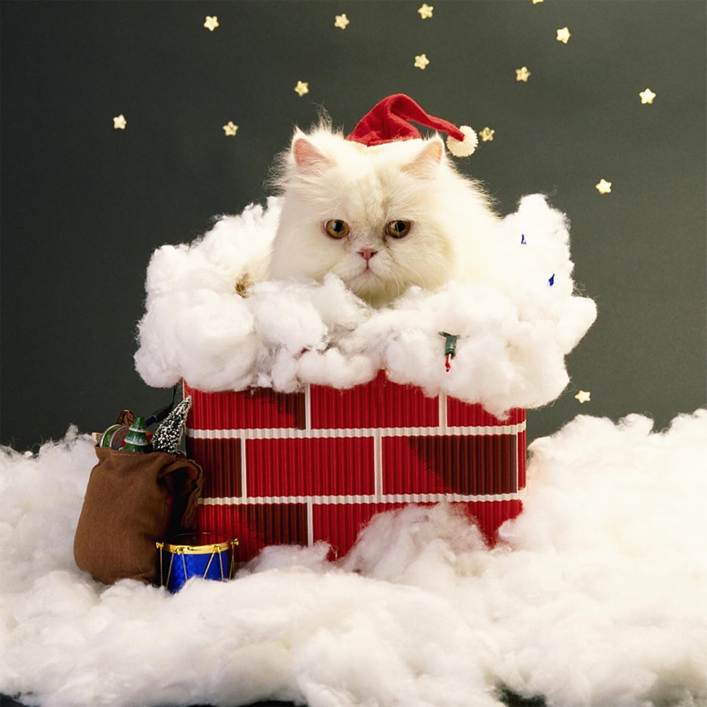 Skiennix Christmas Fake Snow Decoration - 17 OZ Fluffy Artificial Cotton for Winter Village Decor