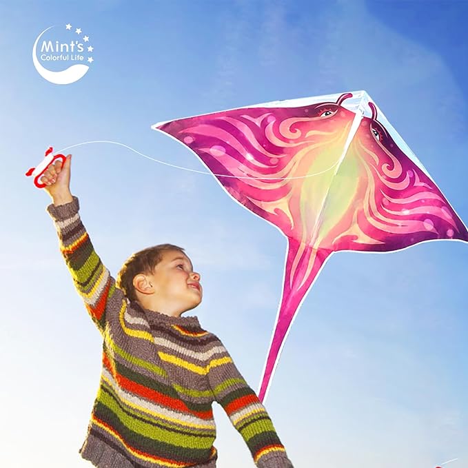 Mint's Colorful Life Devil Fish Kite for Kids and Adults，Easy to Fly Delta Kites Single Line Large, 300ft Kite String Handle Include