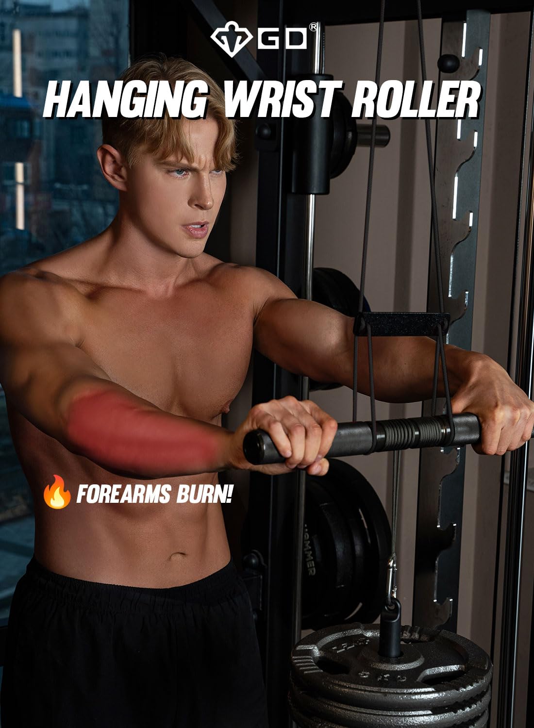 GD Hanging Wrist Roller Forearm Blaster- Forearm Strengthener Exercise Equipment Wrist Trainer for Muscle building and Injury prevention Hand Grip Strength (Hanging Wrist Roller Premium(Rope : Black))