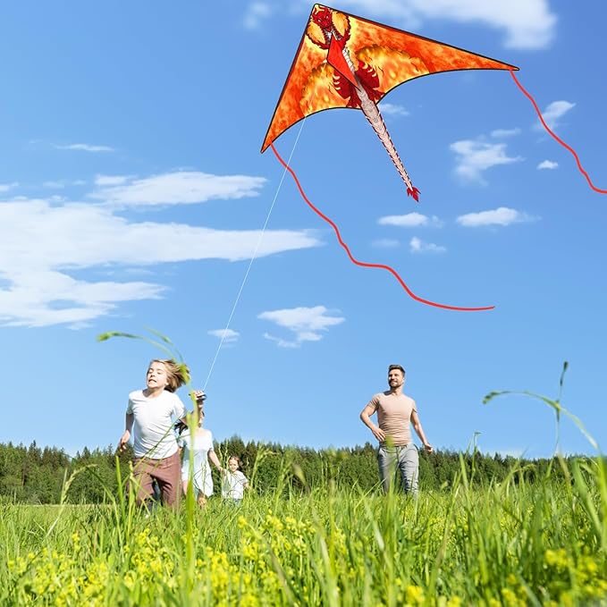 Large Kites for Adults Kites for Kids Ages 4-8， 8-12 Beach Park Outdoor Game Activities, Gifts for Easter and Festival