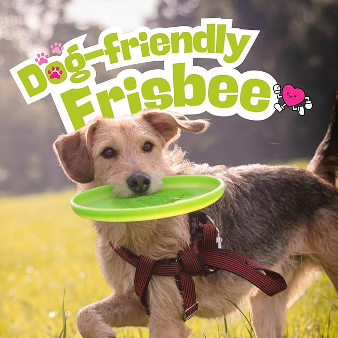 Wham-O Frisbee Fastback Flying Disc, 9.35 Inch Dog-Friendly Lightweight Sports Disc Toy for Outdoor Beach Backyard Games,Team Sports and Family Fun - 100g