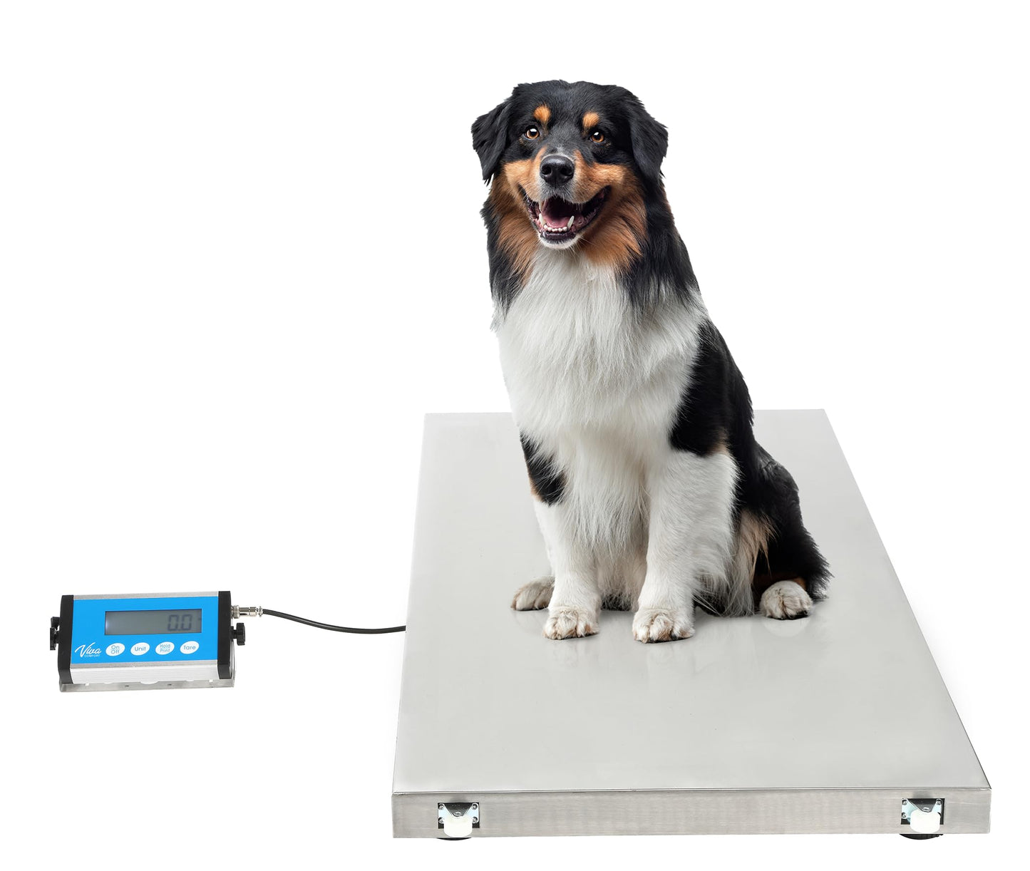 VivaComfort Veterinary and Dog Scale - Large Animal Digital Livestock Scale, 660 lbs Capacity, 44.09L x 20.47W x 1.77H
