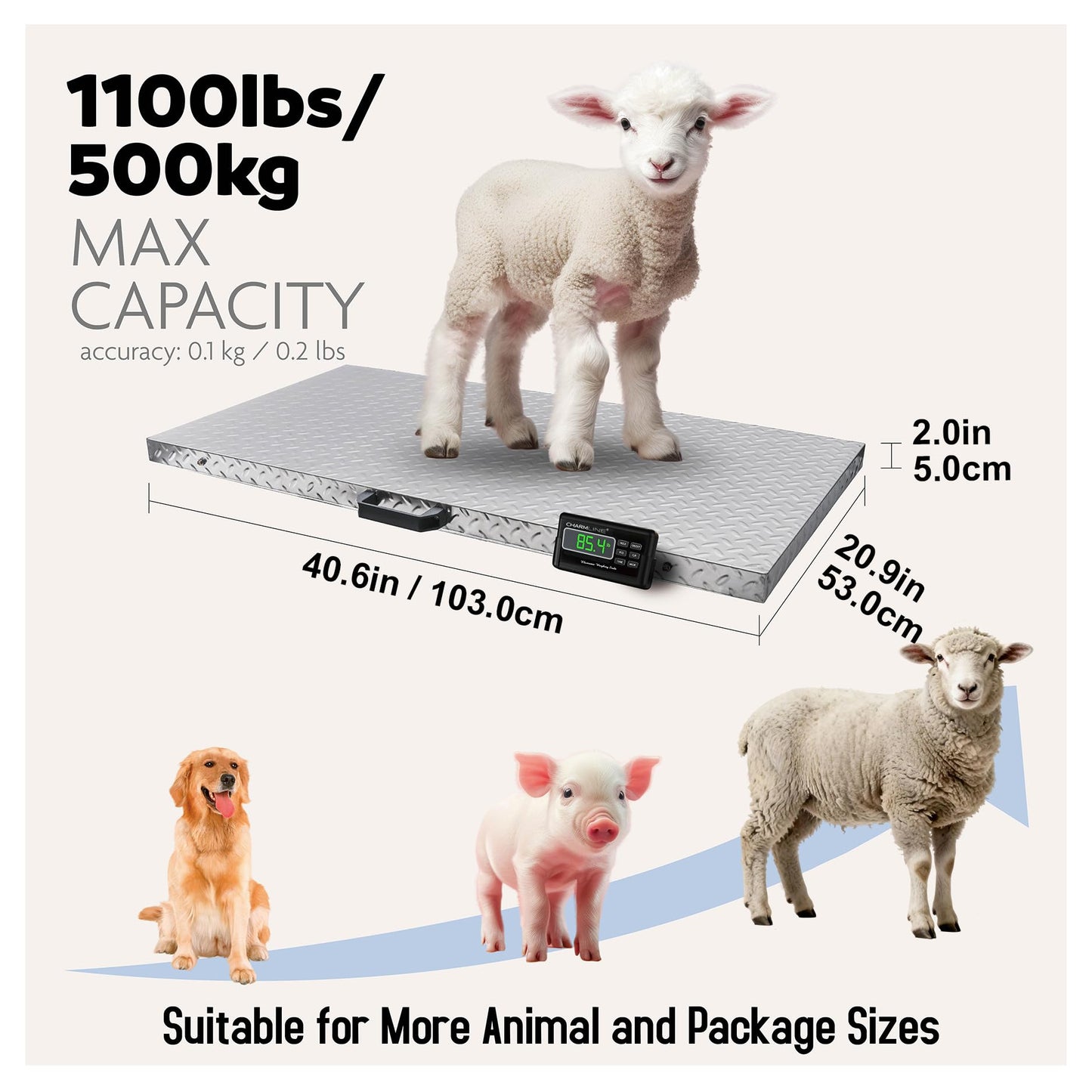 Charmline 1100lbs x 0.2lbs High Accuracy Digital Postal Scale with 41x21 in Large Stainless Steel Platform, Heavy Duty Scale for Dog, Pig, Goat Sheep, Battery & AC Adapter Powered, Slip-Resistant
