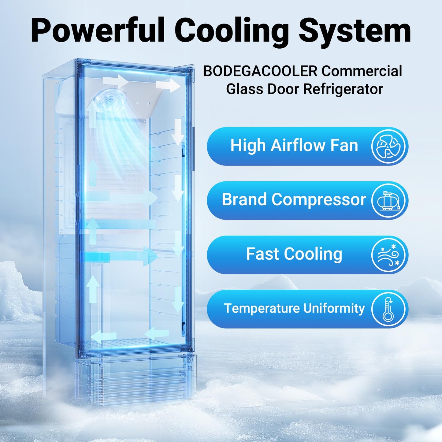BODEGACOOLER Commercial Beverage Refrigerator and Cooler, 11.5 Cu.Ft Commercial Refrigerators Glass Door Fridge for Bar, drink, Commercial Merchandiser Refrigerator with 312 cans & 192 bottles.