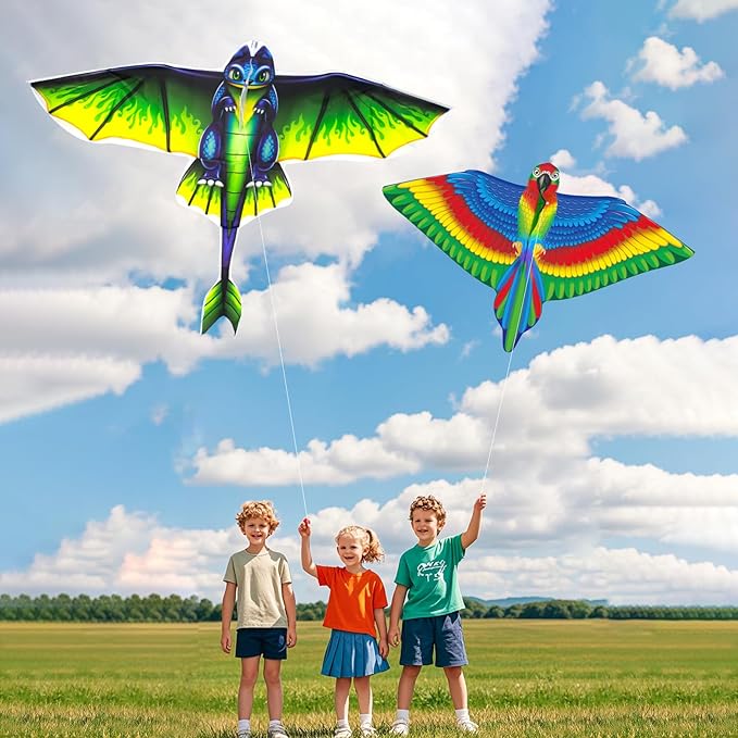 Easy to Fly Kites for Kids Ages 4-8 8-12 & Adults, Beach Flying Toys Butterfly Kite with Handle and Kites String, Great for Outdoor Activities & Family Trip Easter Gifts