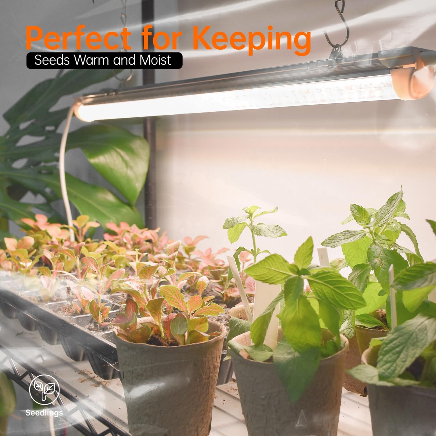 Bstrip Indoor Greenhouse with Grow Light, 5 Tier 23.5"x13.8"x59" Mini Greenhouse with 4 Pack 24W Full Spectrum Plant Lights & Timer, Plant Shelf with Cover for Indoor Plant, Seed Starting, Seed Tray