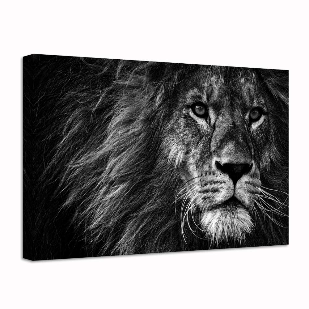 Nachic Wall Animal Painting Wall Art Black and White Lion Portrait Picture Prints Wildlife Canvas Artwork Modern Home Office Bedroom Wall Decor Ready to Hang 24x36inch