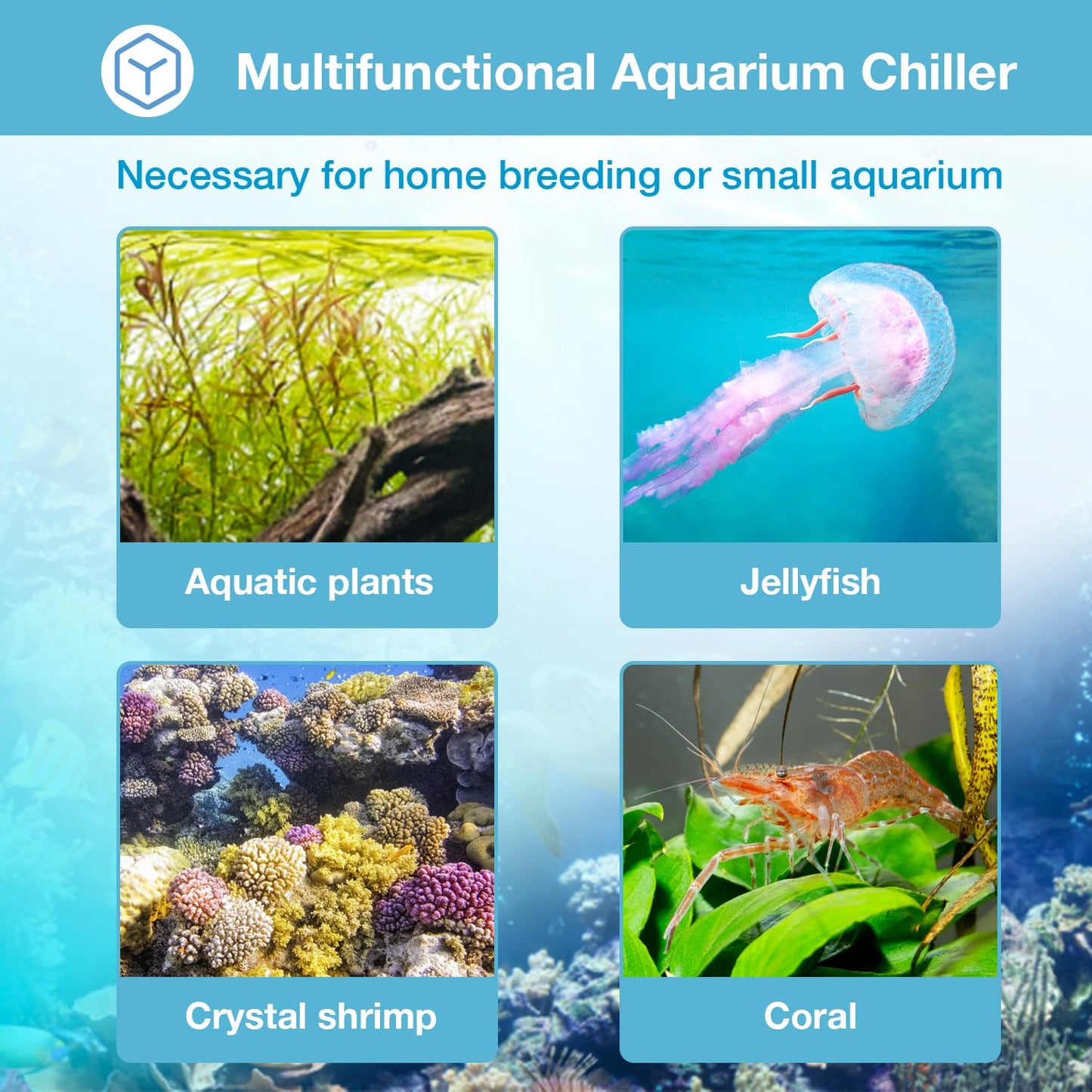 Ezcasch Aquarium Chiller, 79gal 1/3 HP Water Chiller for Cold Plunge, Hydroponic Cooler Fish Tank Cooling System for Axolotl Coral Reef Shrimp with Water Pump and Pipe for Home Use (79gal/300L, 1/3HP)