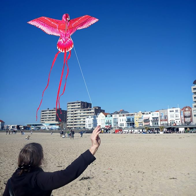 Mint’s Colorful Life Large Kite for Kids and Adults, Easy to Fly Single Line Beach Kites, Comes with 300ft String Handle