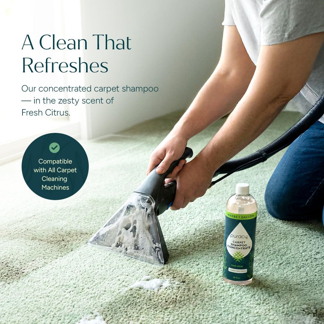 Puracy Carpet Shampoo - Pet Stain & Odor Remover | Concentrated Rug & Upholstery Cleaner (Fresh Citrus, 25oz)
