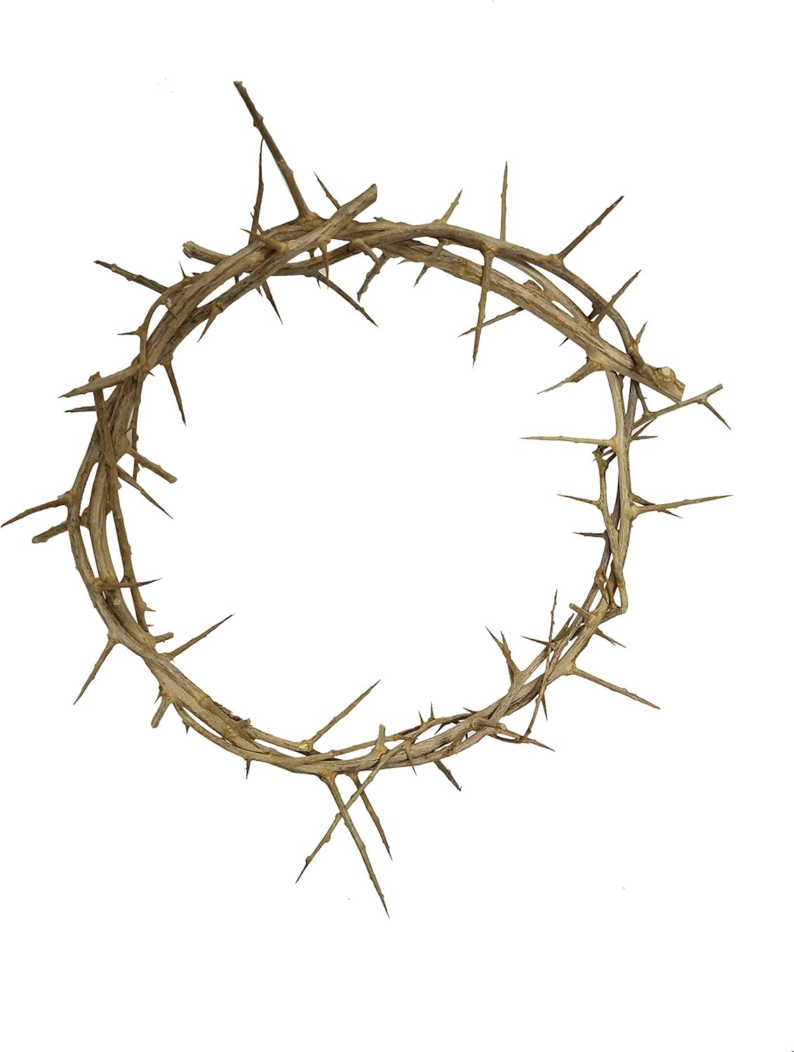 Passion of Christ Crown of Thorns - Authentic Religious Symbol | Unique Home Decor