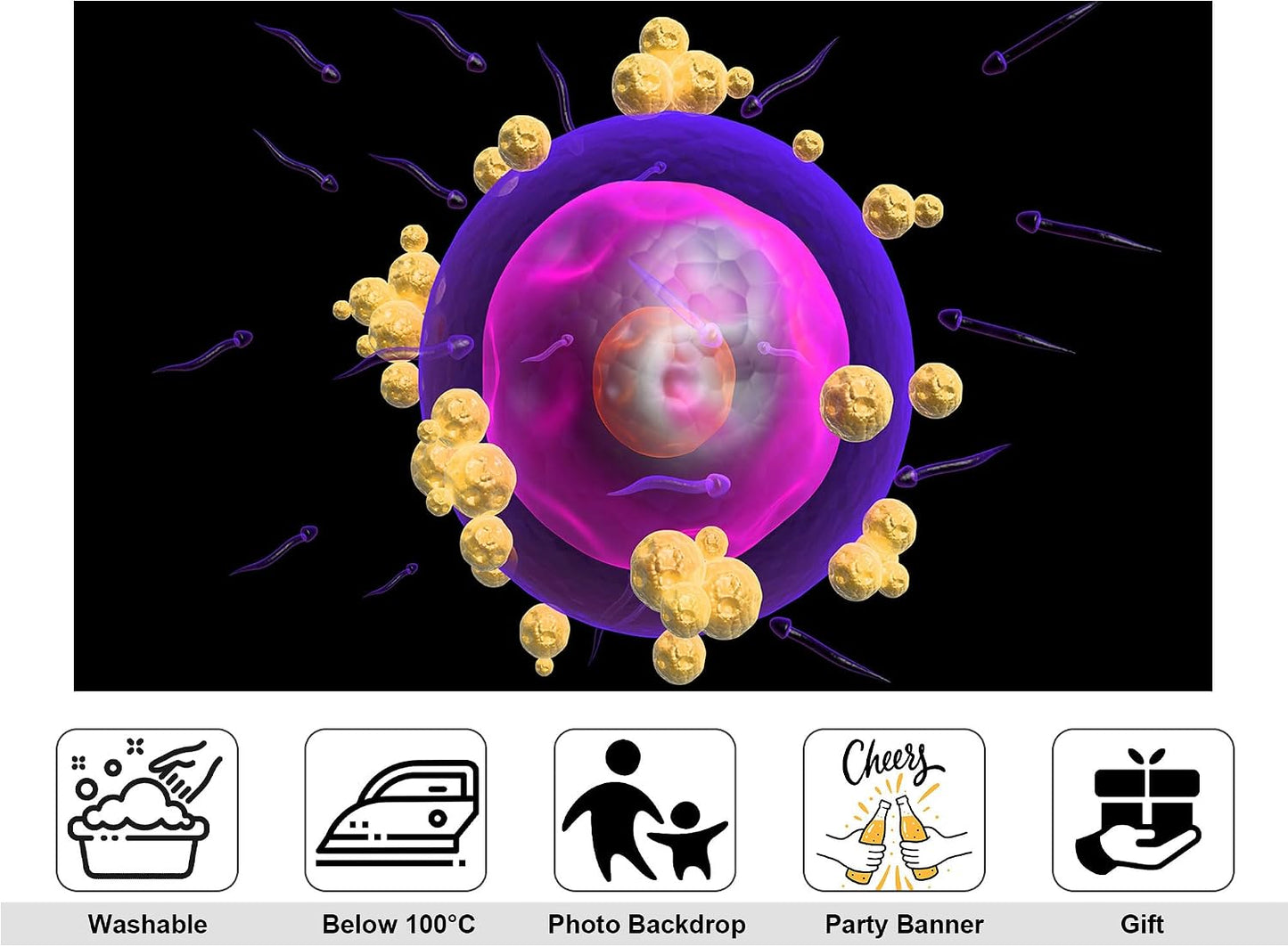 KeyWork 7x7ft Human Egg Cell Fertilization Backdrop Reproductive Science Photography Background for Health Fair