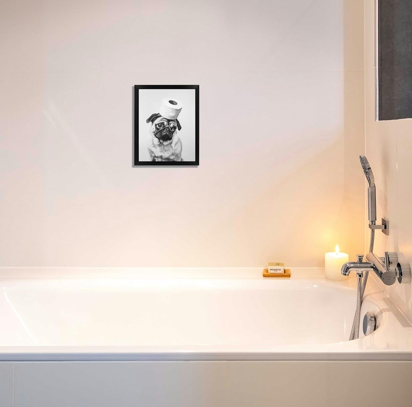 Regine Switzerland Funny Bathroom Wall Decor - Aesthetic Black and White Canvas Art | Framed