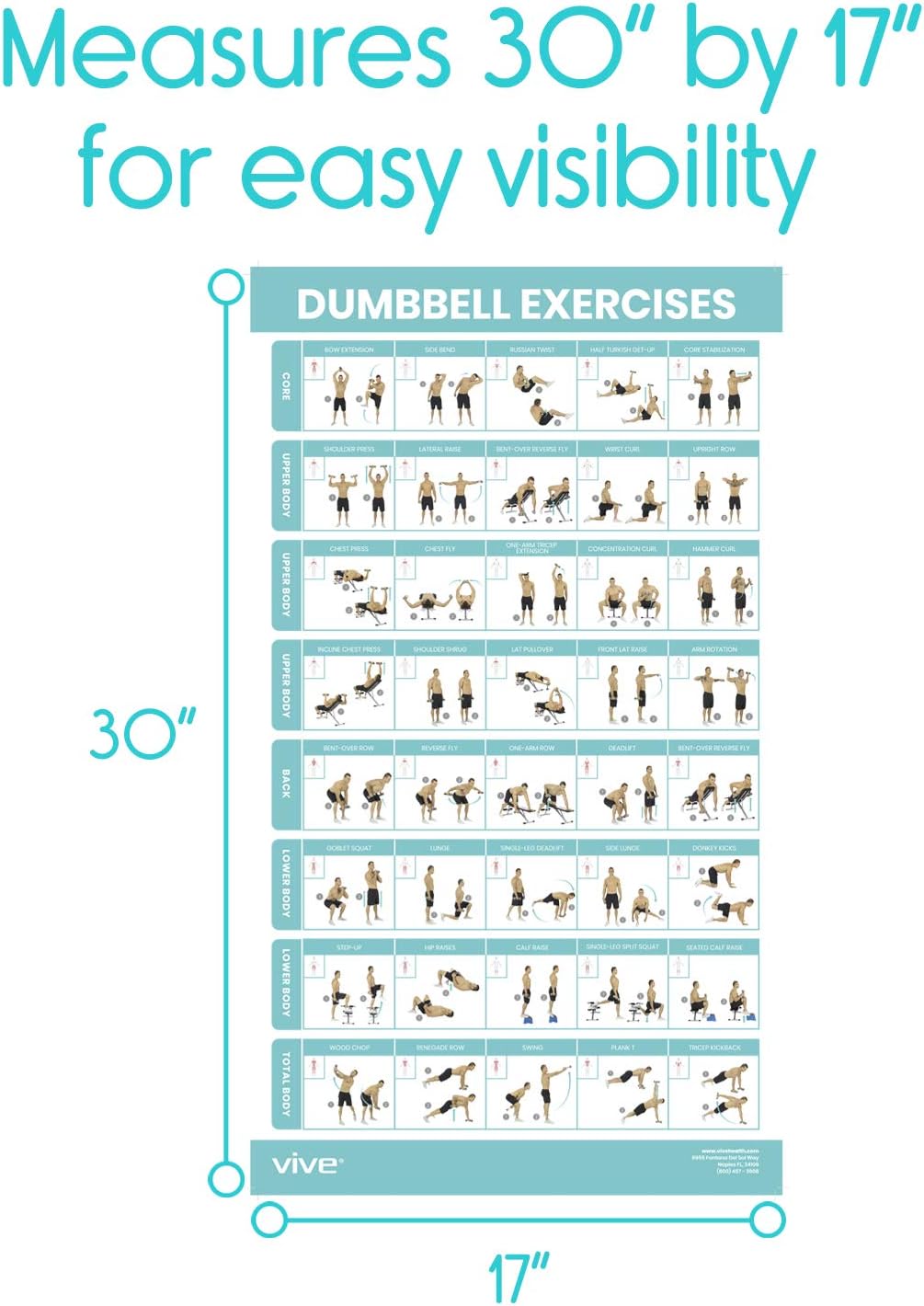 Vive Dumbbell Workout Poster - Comprehensive Home Gym Exercise Guide | Laminated Bodyweight Chart (30" x 17")
