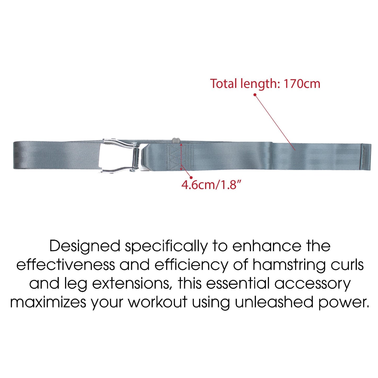 Leg Extension Seatbelt for Gym Lifting, Nordic Hamstring Curl Strap on Bench, 5.6ft L, Buckle Squat Collar for Workouts Machine Home Exercise Fitness Assisted Muscles Achieve Stability Women Men, Grey