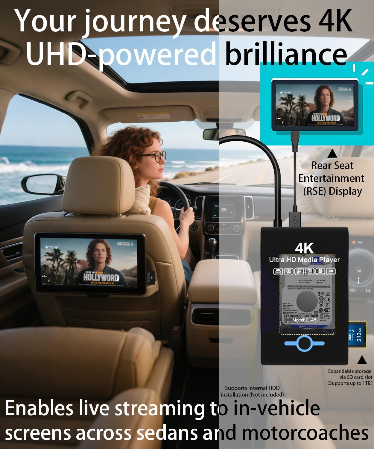 JLZNLC 4K 2-in-1,Digital H.265/HEVC H.264/AVC MP4 Videos,MP3 Card,4k Ultra HD Media Player & HDD Enclosure Signage