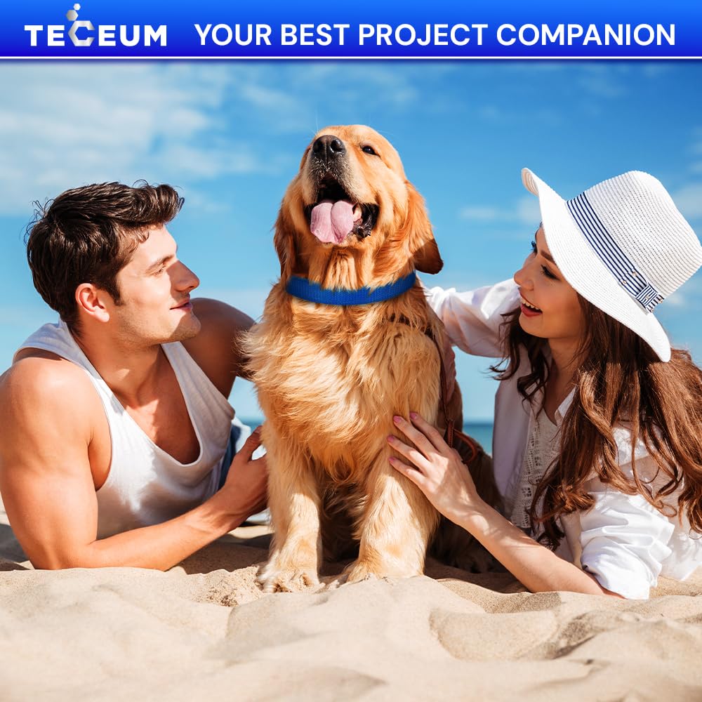 TECEUM Buckles & Strap Kit – 1" Black Nylon Webbing 6 (yd) – 6 Heavy Duty Adjustable Plastic Buckles – 12 Tri-Glide Slide Clips – 6 Metal D-Ring – Ideal Straps for Arts Crafts Outdoors Indoors DIY