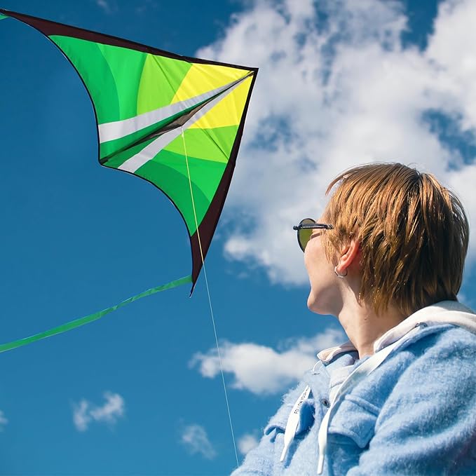 Delta Beginner Kite for Kids & Adults, Easy to Fly Beach Kite