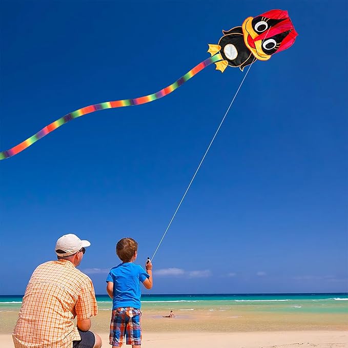 Duck Pattern Kites for Kids, Cute Large Kite Duck Kite with Long Colorful Tail for Kids & Adults, Easy to Fly Kite for Beginners Outdoor Activities