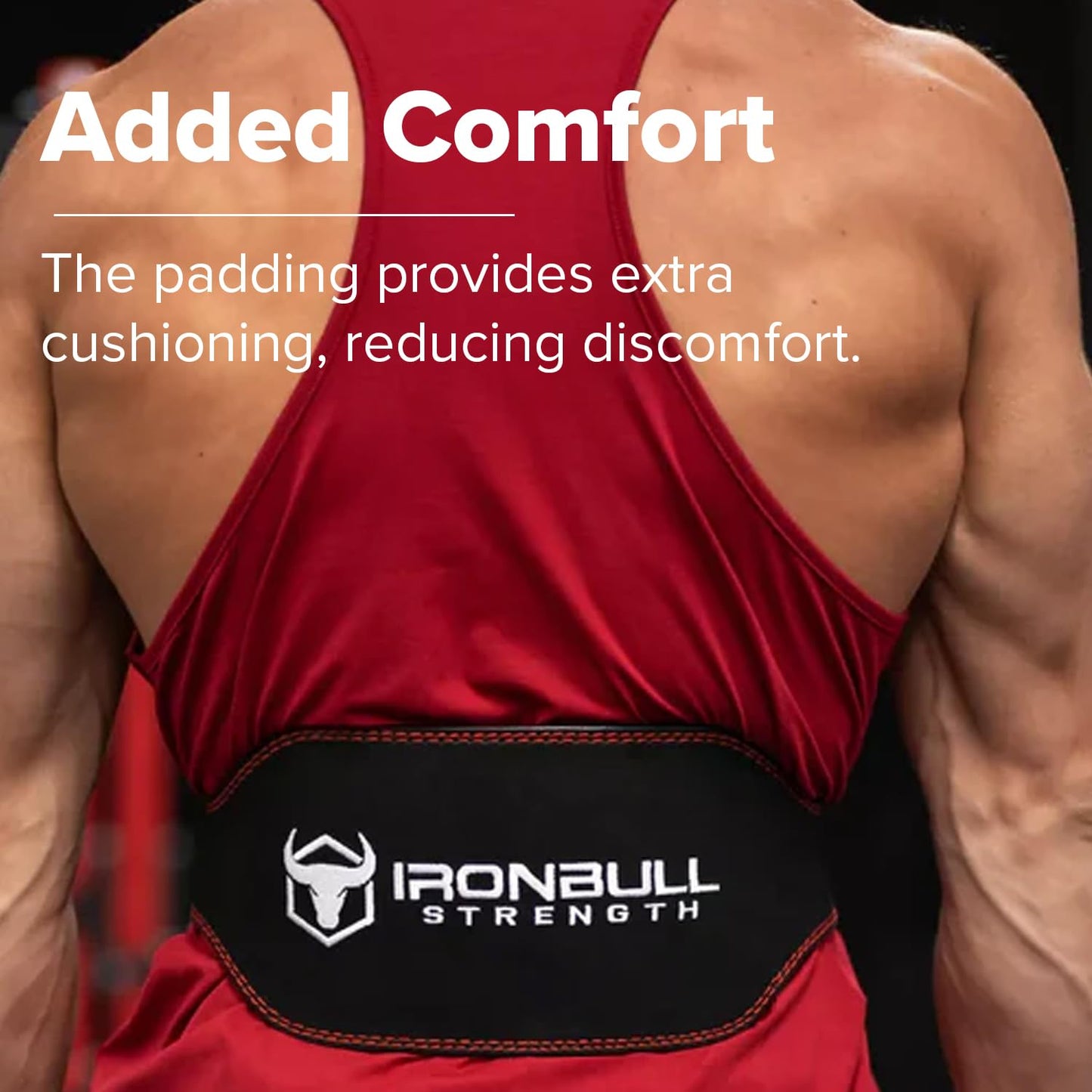 Iron Bull Strength Padded Weightlifting Belt - 6-inch Suede Leather Weight Belt - Heavy Duty and Comfortable Back Support for Heavy Weight Lifting, Crossfit and Fitness (Black/Red, Medium)