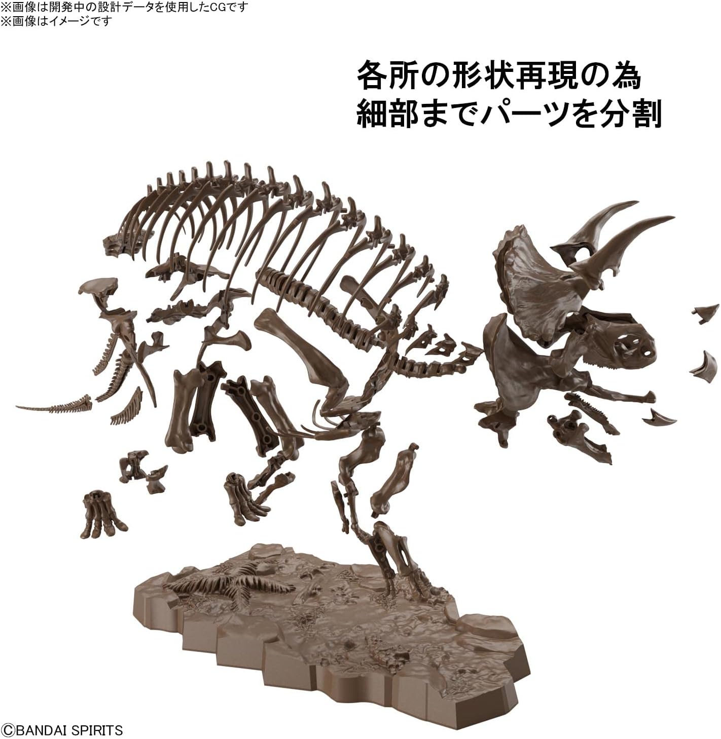1/32 Bandai Hobby - Dinosaur - Triceratops, Bandai Spirits Imaginary Skeleton Model Kit